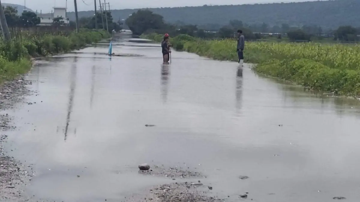 caminoamedina