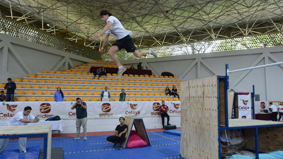 Espectaculares....