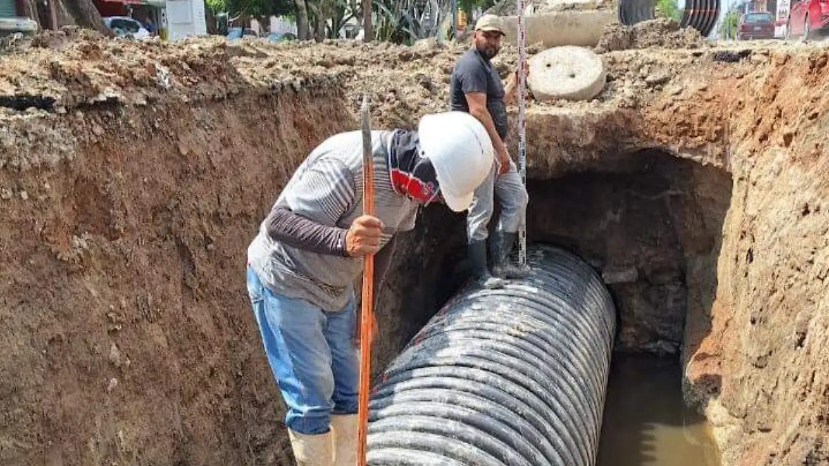 avance 12 de octubre 