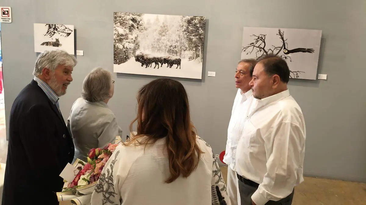 El-arte-iluminó-la-Aurora 