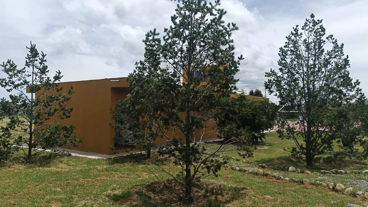 bisquedeportivo2