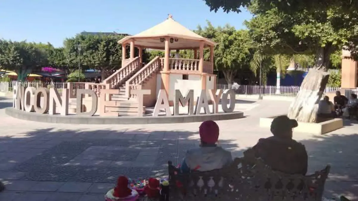 tamayo3