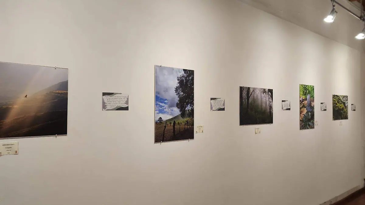 EXPOSICIÓN FOTOGRAFICA.