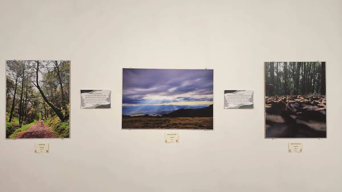 EXPOSICIÓN FOTOGRAFICA2.