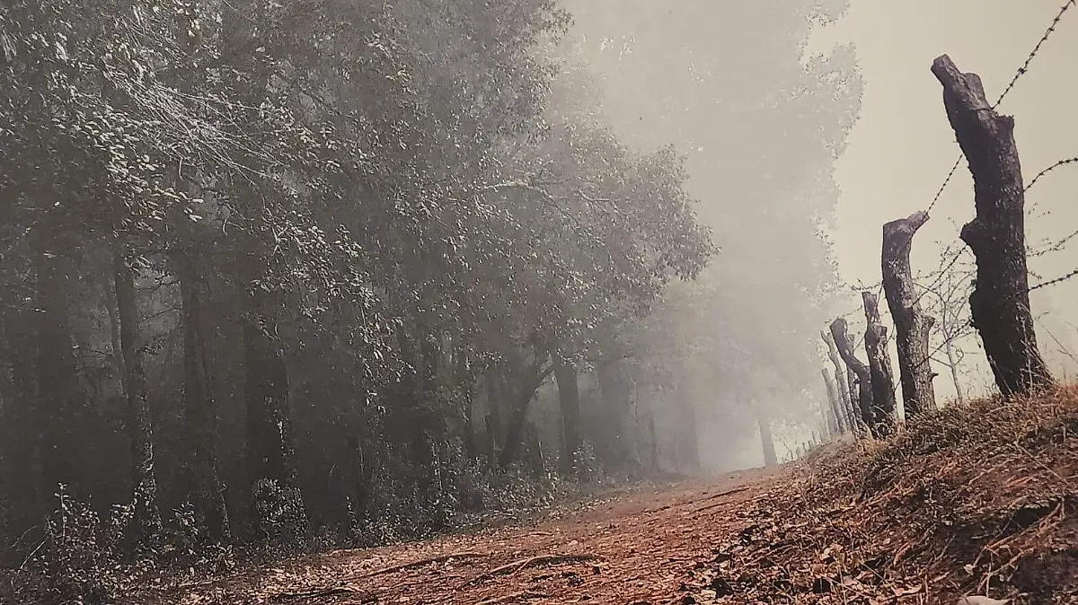 EXPOSICIÓN FOTOGRAFICA8.