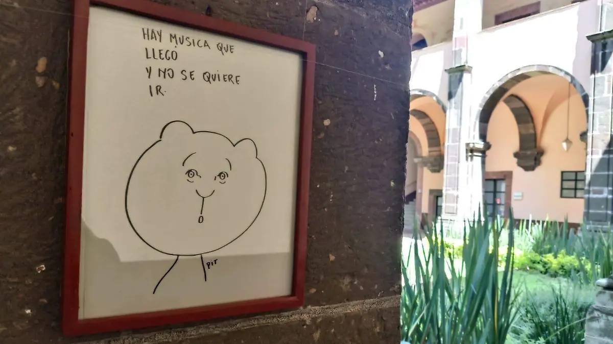 gatoculto