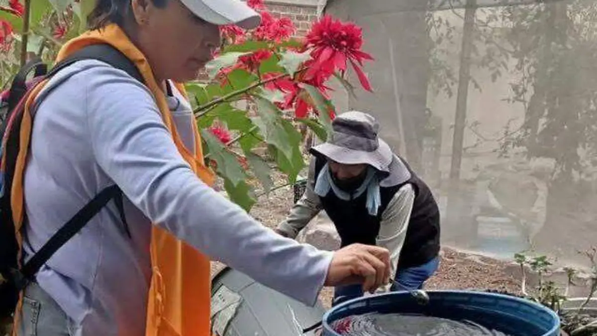 Personal del sector salud en el trabajo contra la propagación de enfermedades por picadura de mosquito