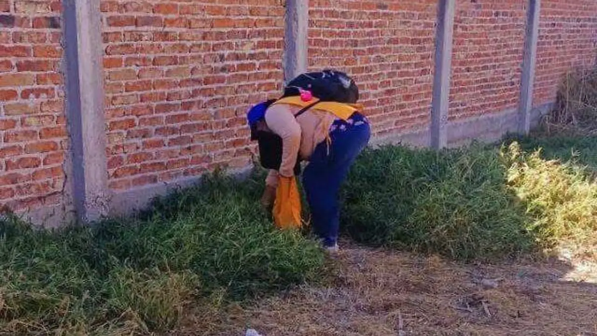 Evitarcriaderodemosquito3