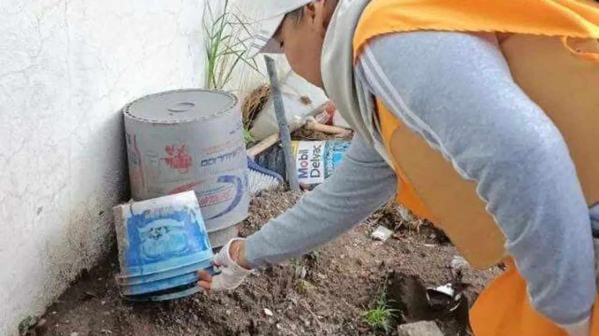 Evitarcriaderodemosquito4