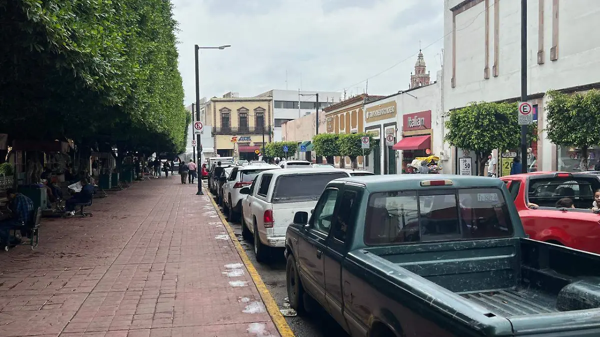 Visitantes a la zona de estacionan sobre calle de la calzada independencia