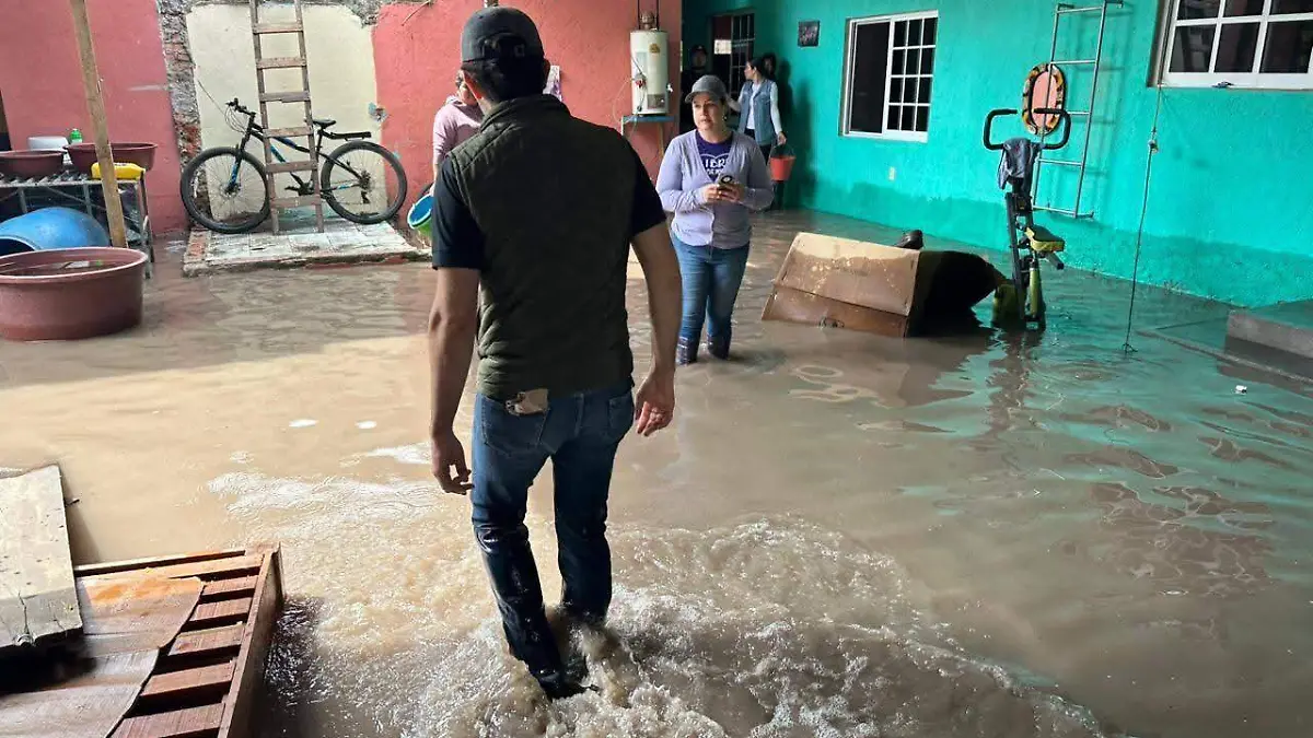 d96186d7-801e-4100-86e