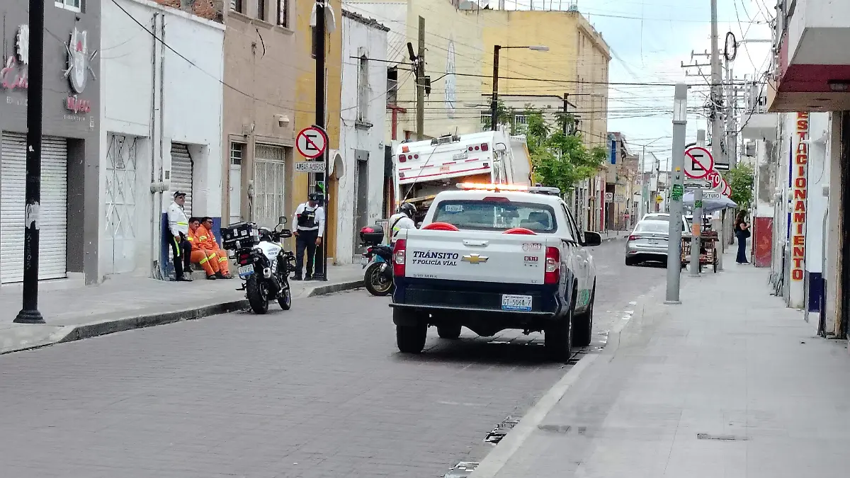 CamióncaeacoladeraCelaya3