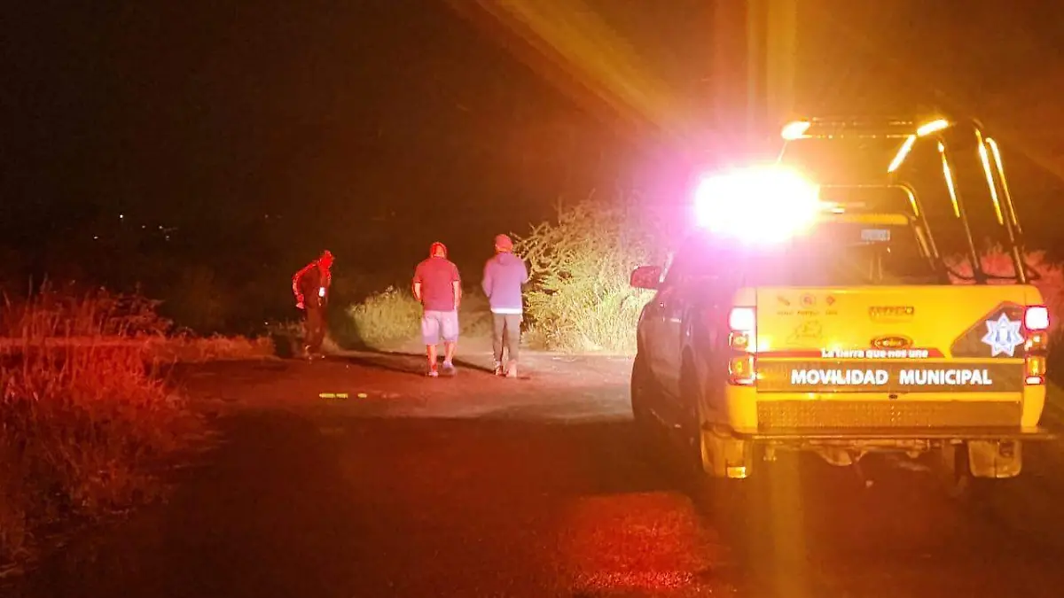 fb6d2452-2f46-4629-9387-5511c58