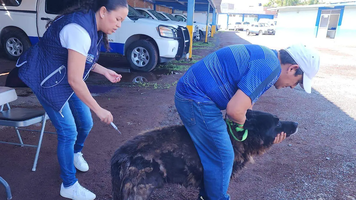 VacunaAntirrábicaAcámbaro1