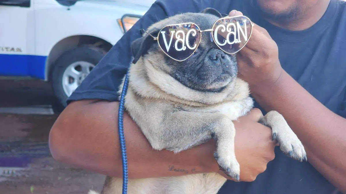 VacunaAntirrábicaAcámbaro2