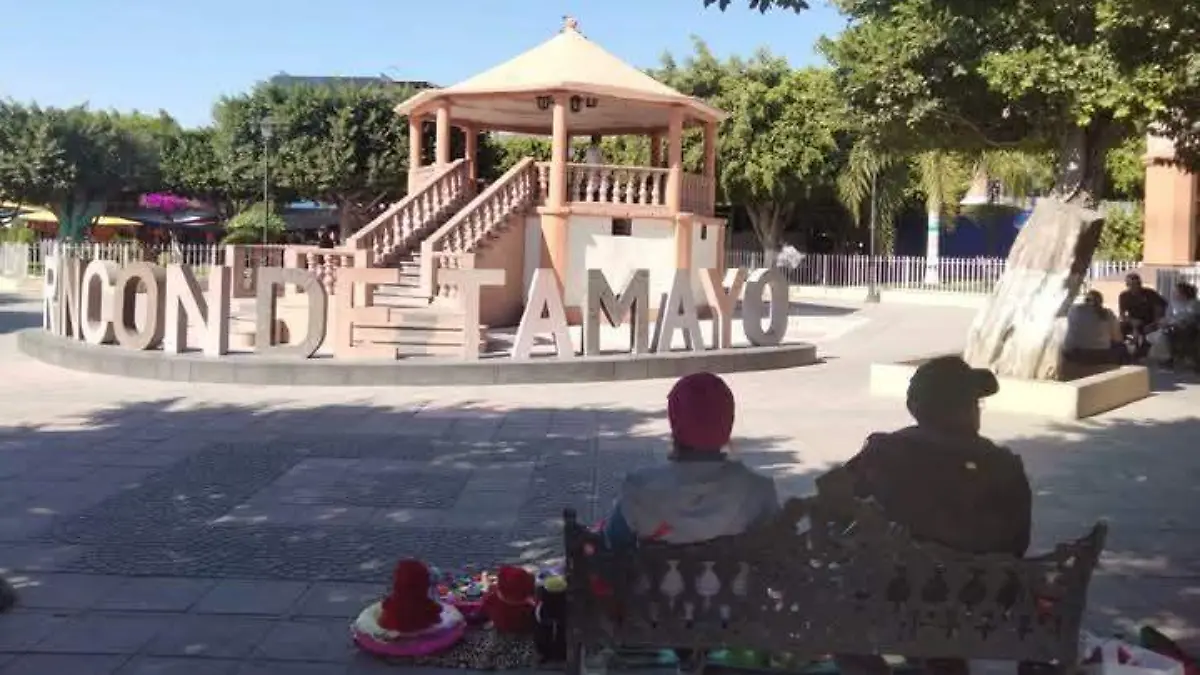 tamayo3