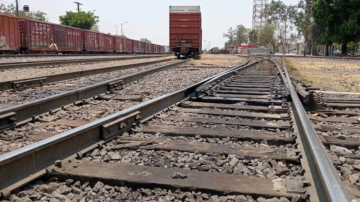 Tren de pasajeros pasará por Apaseo el Grande, Celaya, Irapuato, incluso hasta León