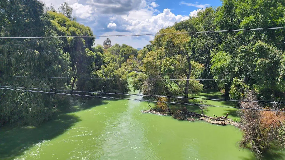 Busqueda