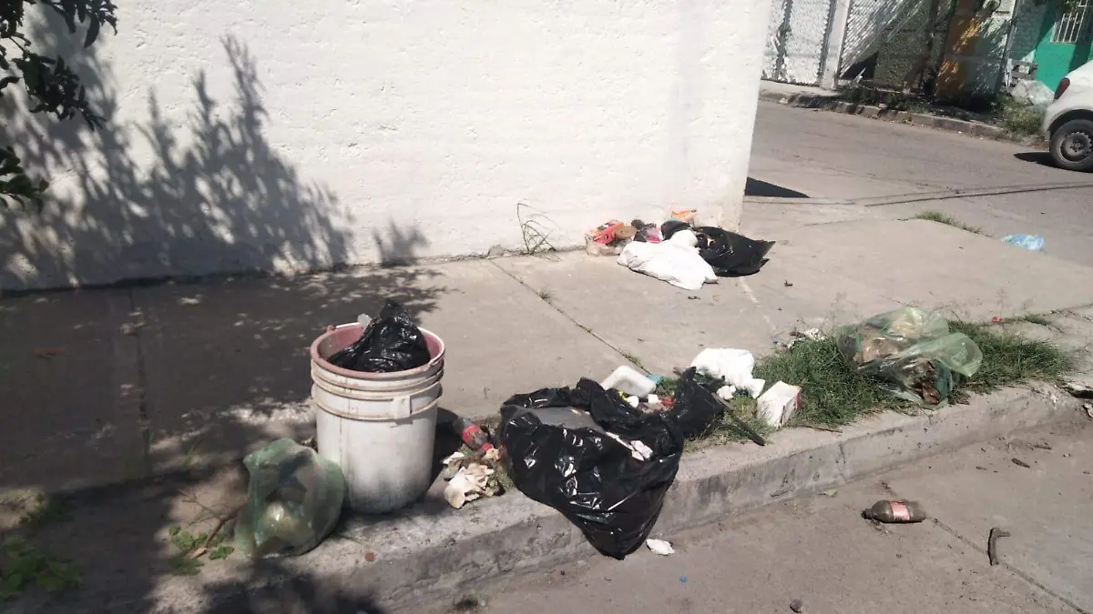 basura 2