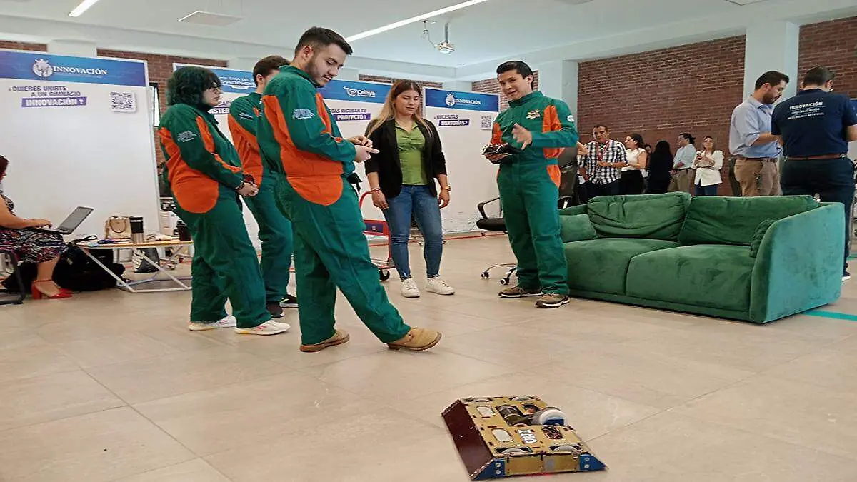 patente 5 ok