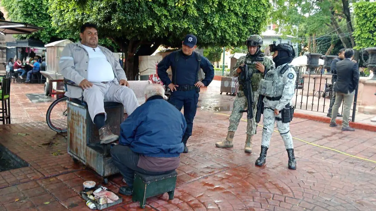 seguridad en Celaya2
