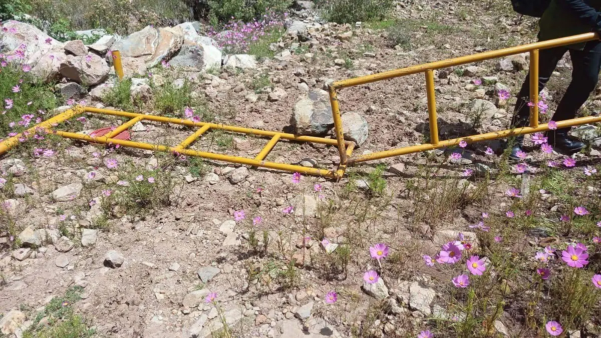 DAÑOS1