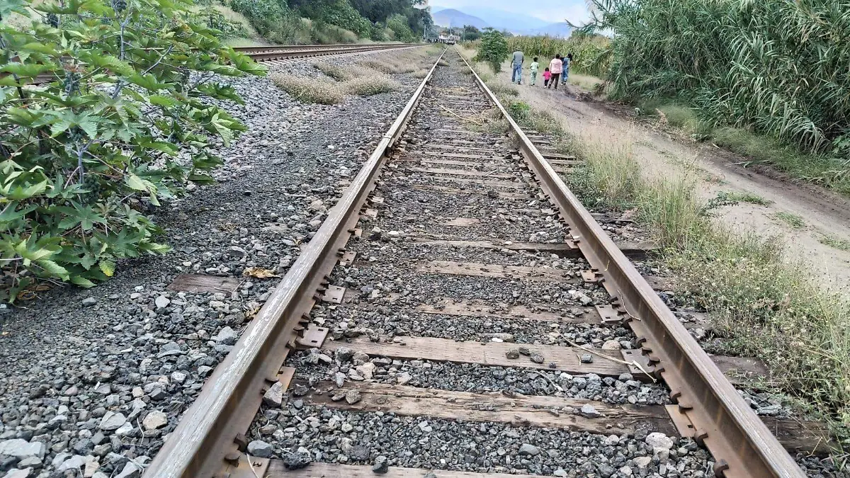 viasdeltren