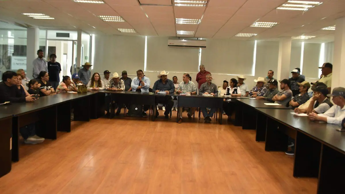 Productores de maíz, sorgo y frijol,