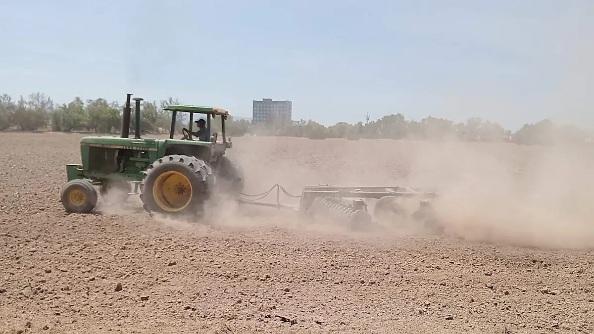 El campo en Guanajuato y en el país se