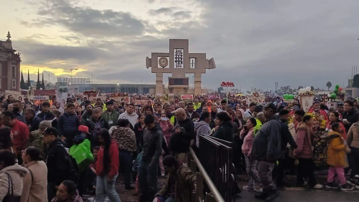 La peregrinación que une fe y esperanza a la Virgen de Guadalupe
