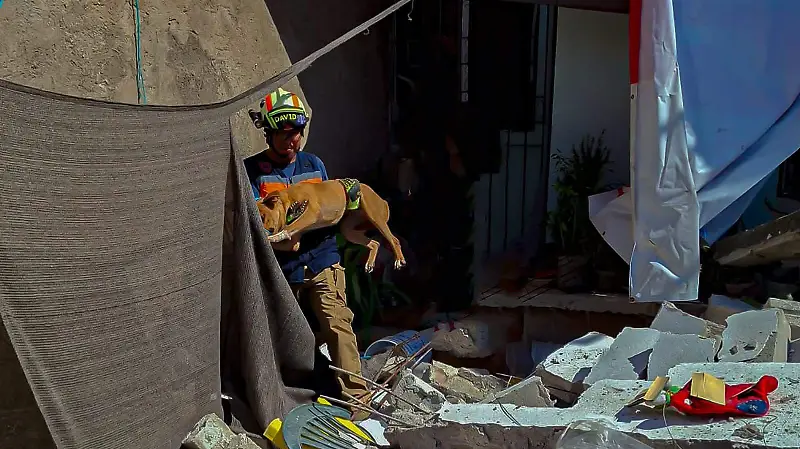 Al rescate de un peludito. 