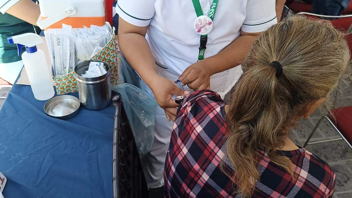 Segunda Feria de la Salud en San Miguel de Allende (2)