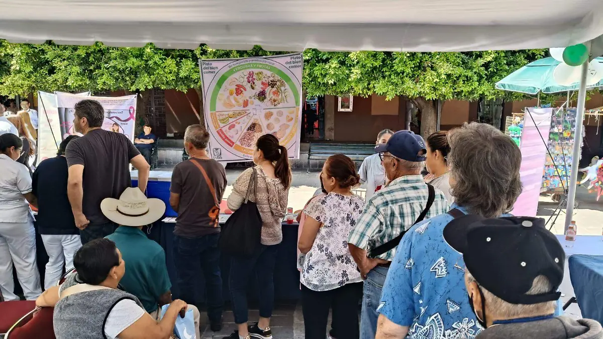 Segunda feria de la salud en San Miguel de Allende (3)