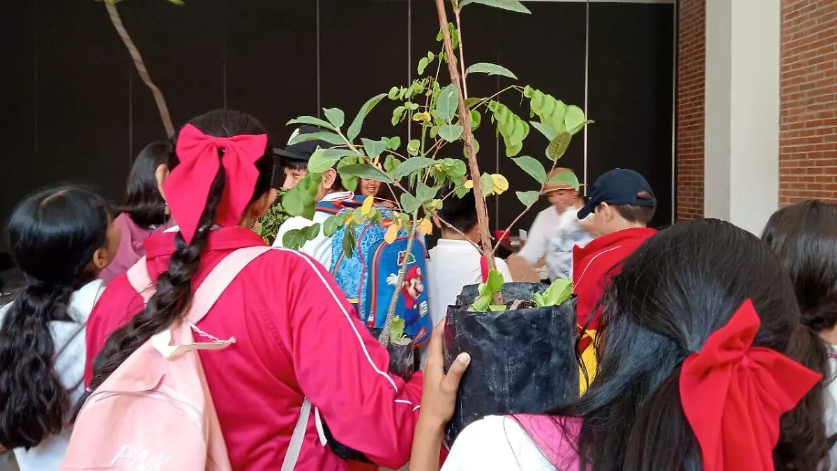 Los niños y adolescentes que acudieron 