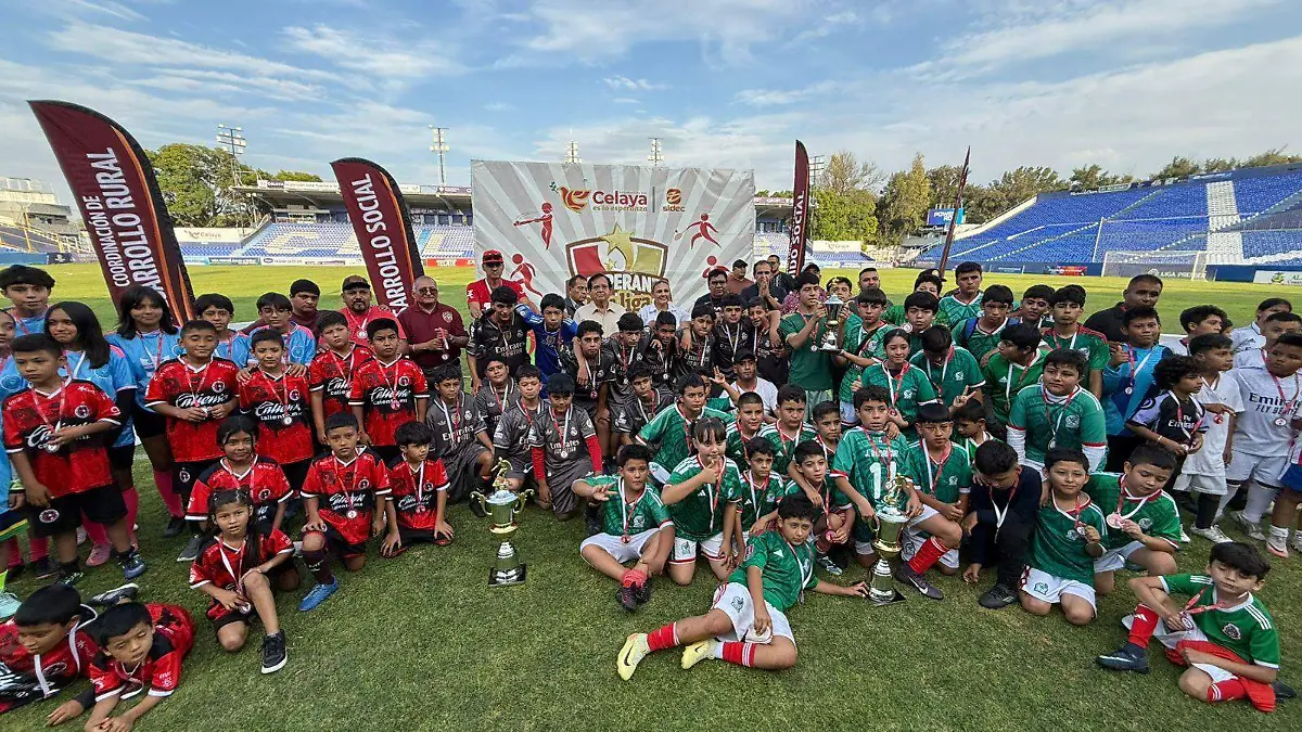Los equipos.....