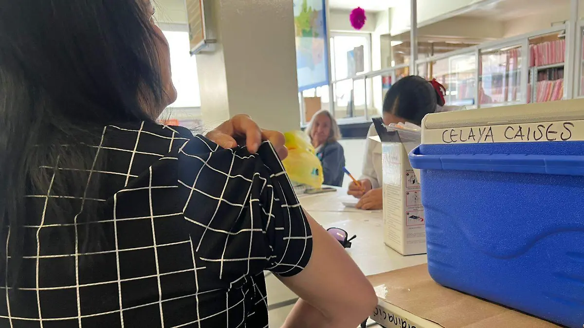 Campaña de vacunación contra la influenza (2)