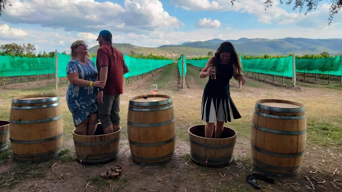 La Ruta del Vino de Guanajuato, con epicentro en San Miguel de Allende, compite por el título de Mejor Región Vinícola de México.