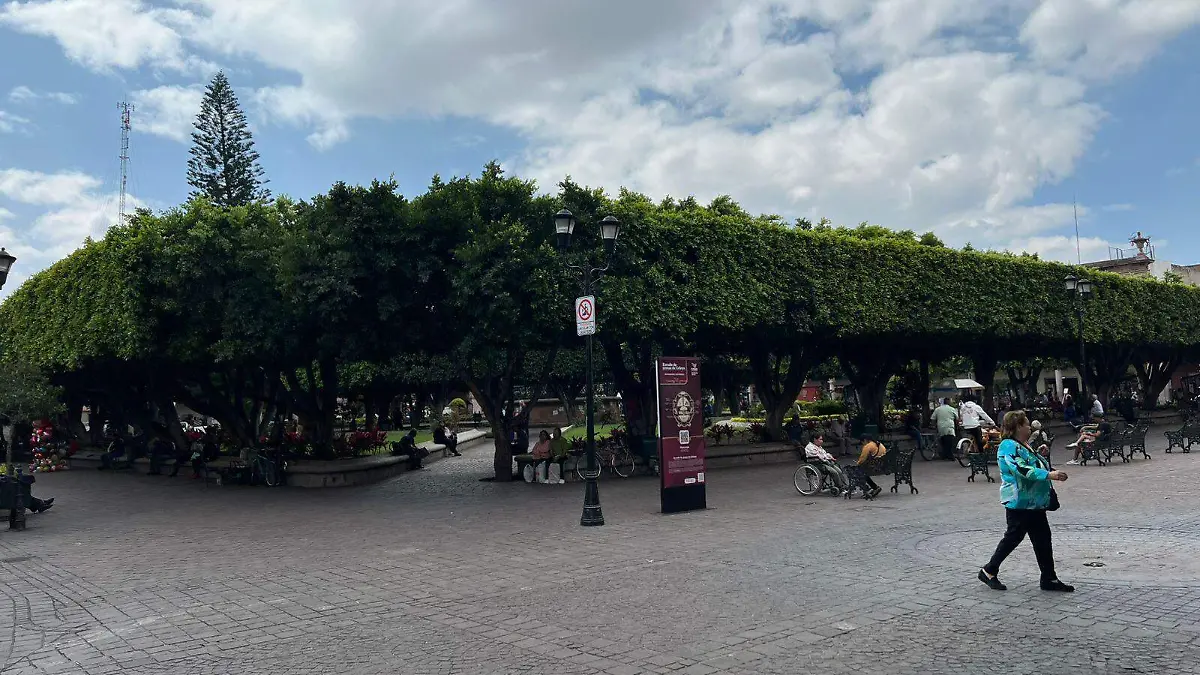 Ciudadanos Celayenses  en su opinión por este movimiento, mencionan que es algo que perjudica a todos como mexicanos.