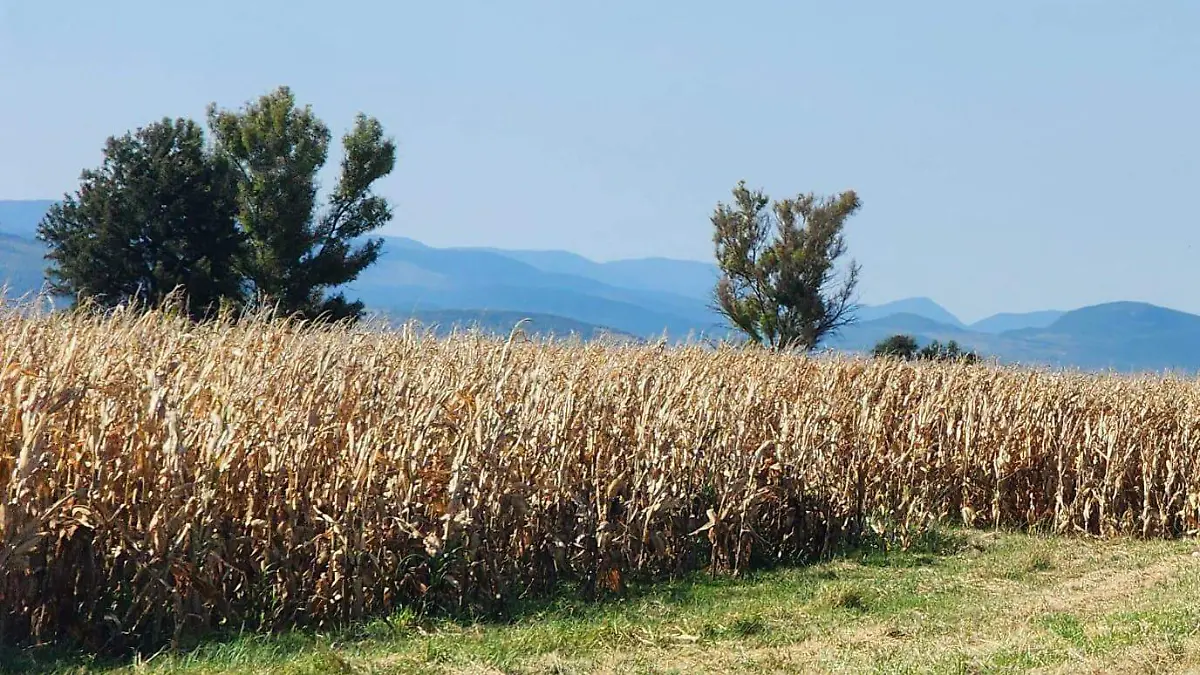 Acámbaro y Teotihuacán tienen una concepción astronómica y simbólica común
