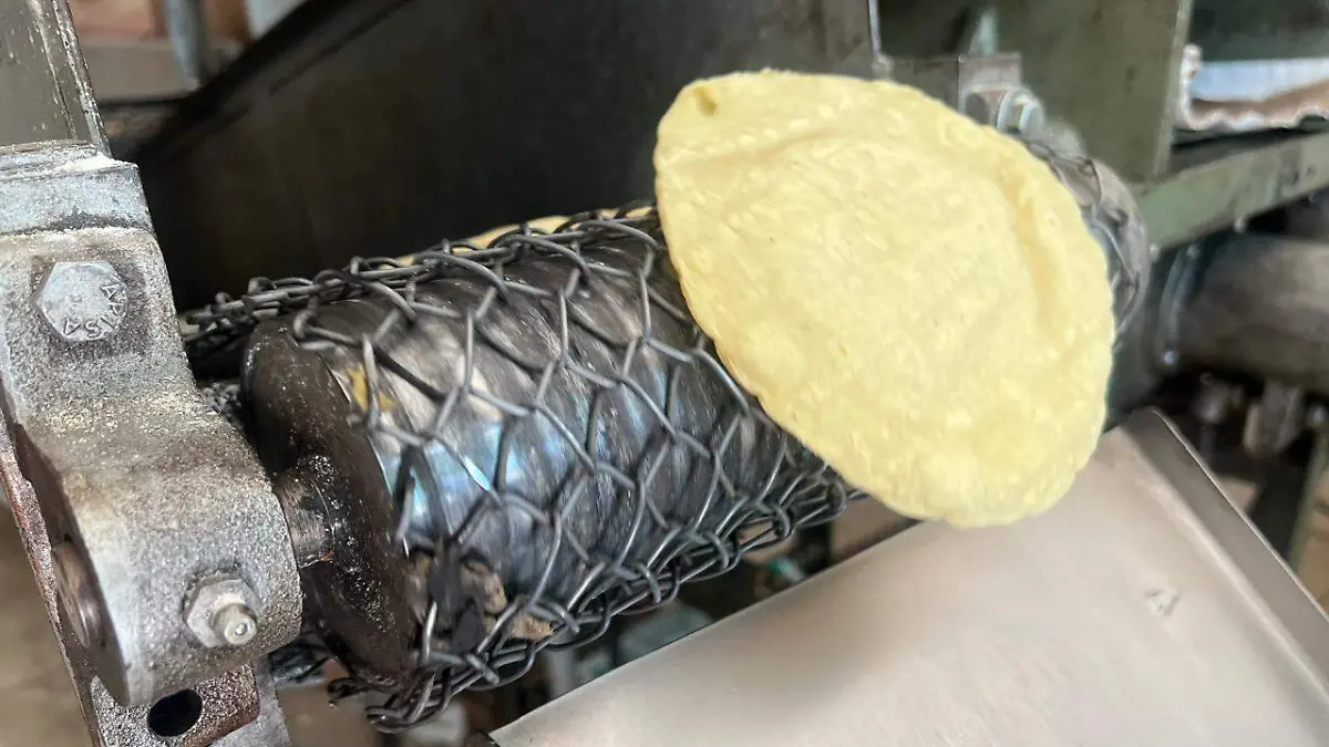 Kilo de tortilla, podría costar hasta 28 pesos