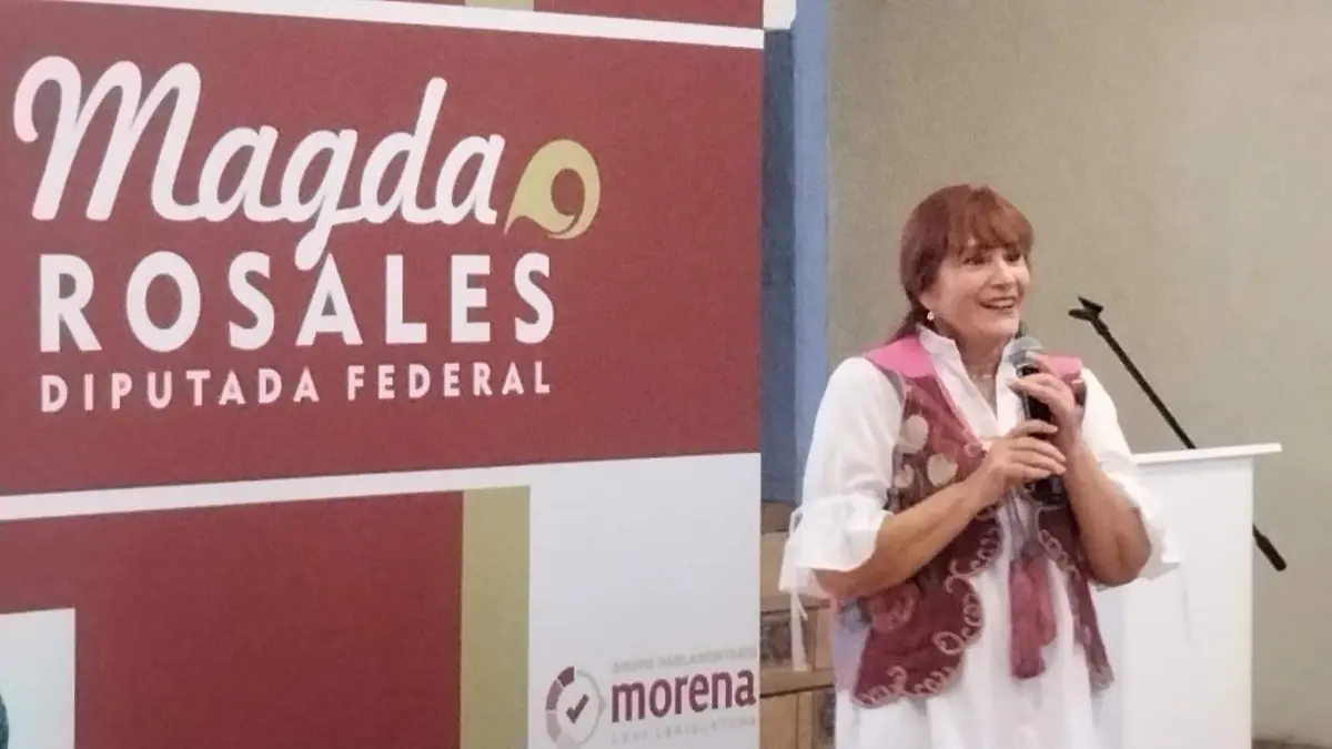 La diputada federal Magdalena Rosales