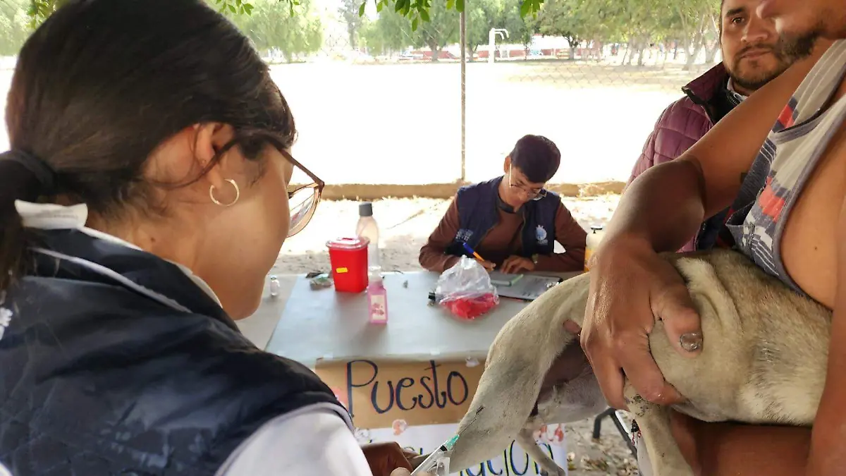 Realizan de vacunación antirrábica.