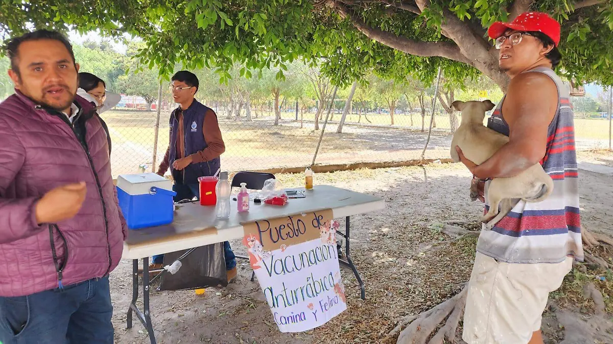 Se aplicarán 300 dosis aproximadamente.