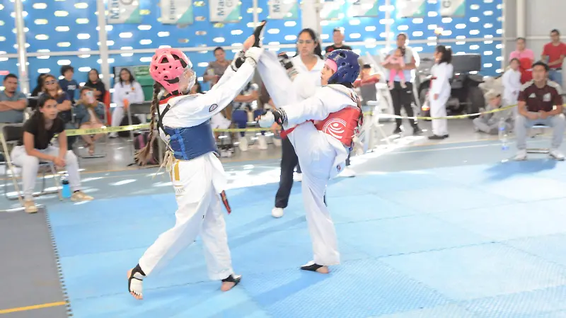 Buscan que el nivel de cada participante sea mejor.