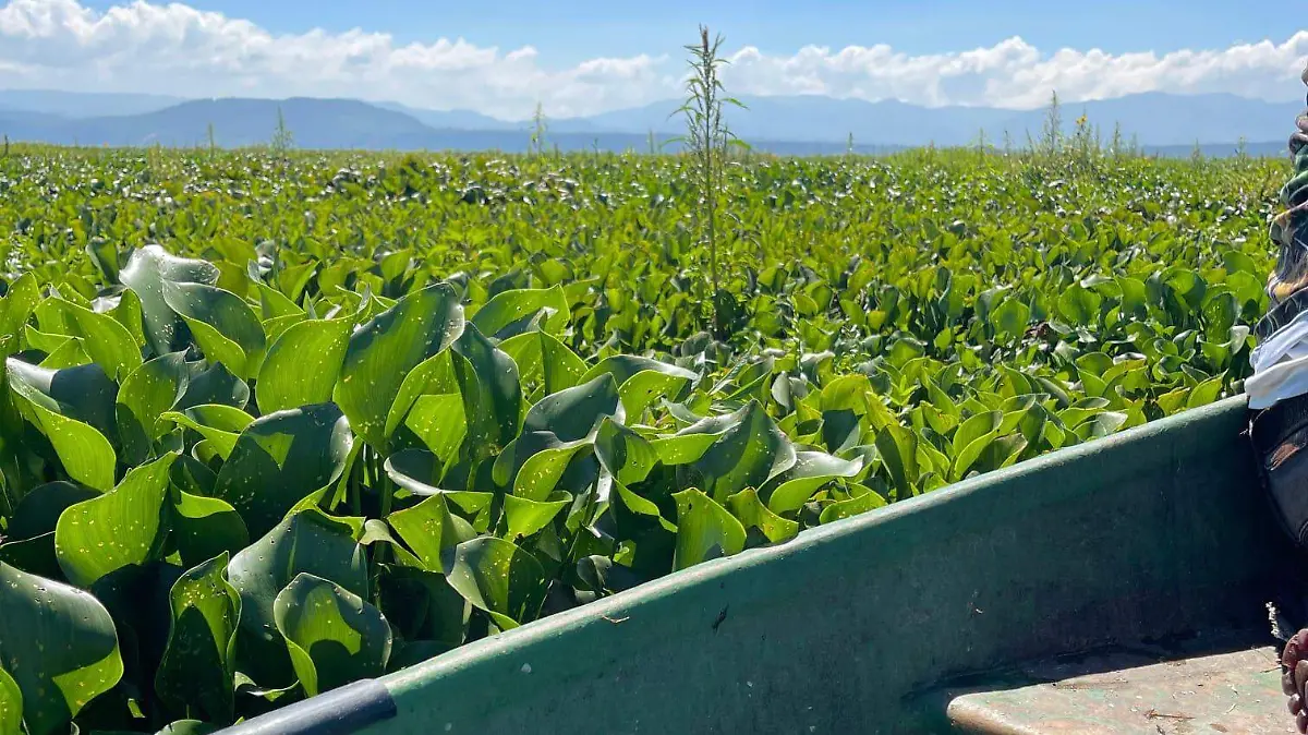 Aseguran que en las condiciones que se encuentra no se puede pescar.