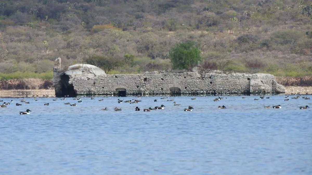 Se pide que no sean molestadas durante su estancia en el municipio.