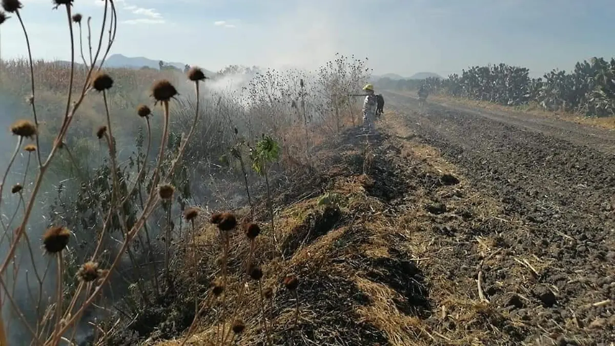 Aseguran que la quema únicamente afecta la productividad del suelo.