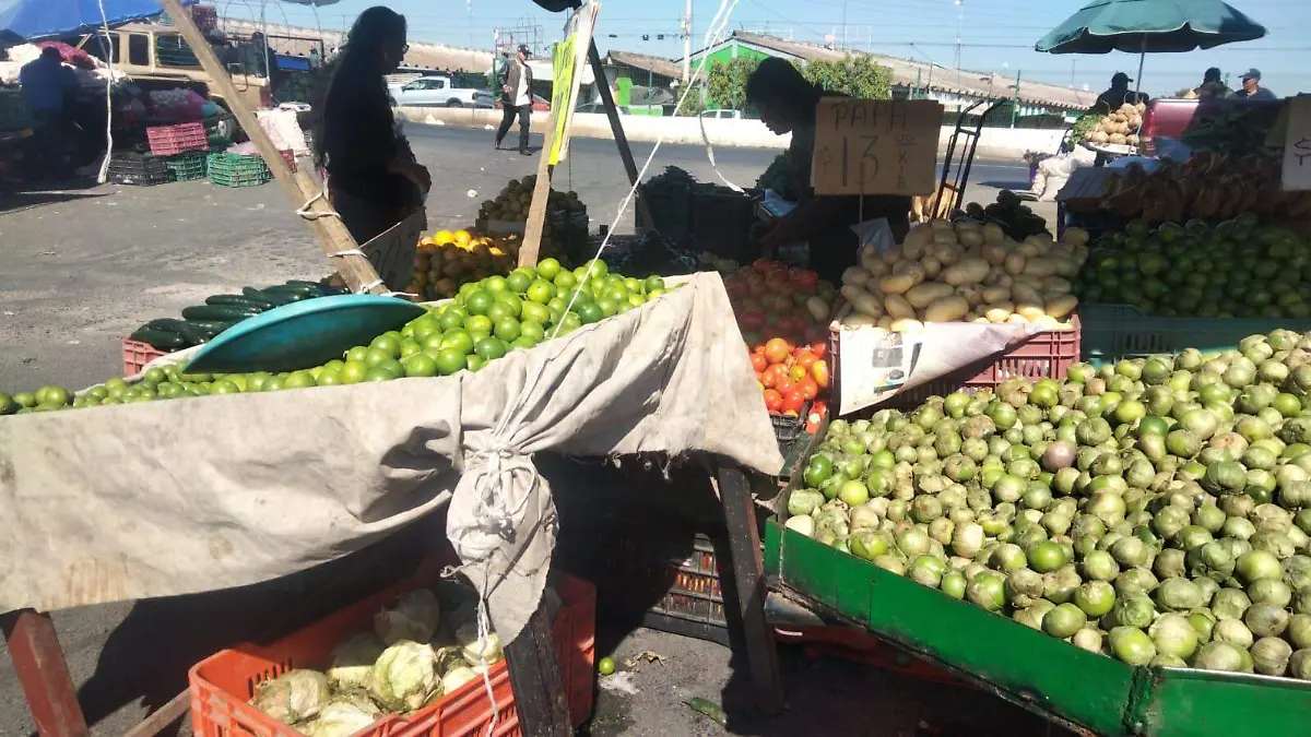 Afectan-zonas-de-la-ciudad