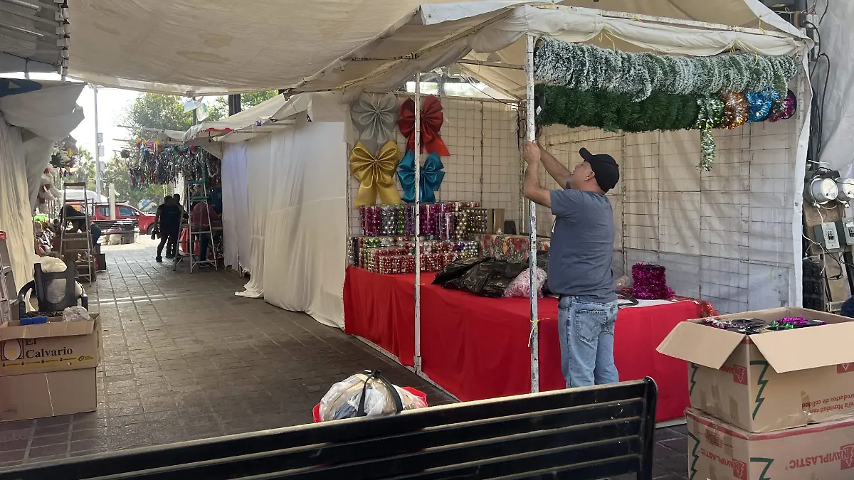 Preparándose en tener todo listo y comenzar actividades de vendimia este 24 de noviembre 