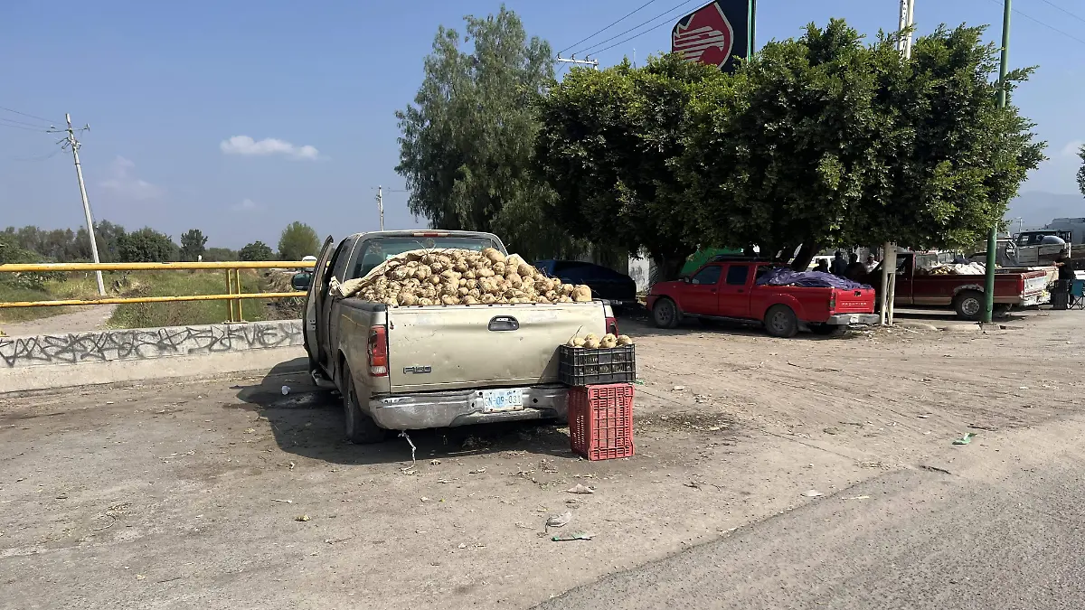Agricultores venden su mercancía en San Juan de la Vega, Celaya3